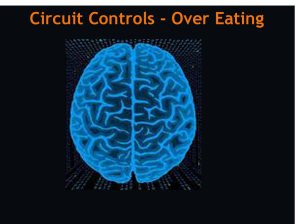 circuit controls - Brain